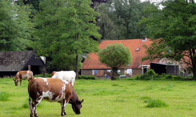 Erfdelen NL kanshebber ZorgSaamWonen Award