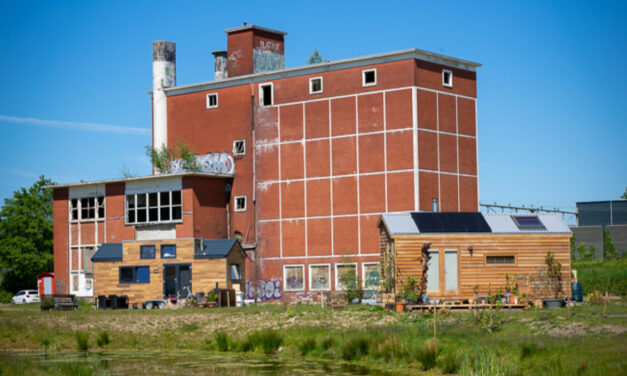 Tiny houses Twente: ‘not in my backyard’